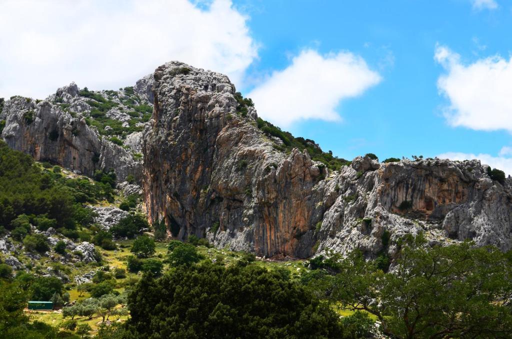 Cortijo Sabila Guest House Villanueva del Rosario ภายนอก รูปภาพ